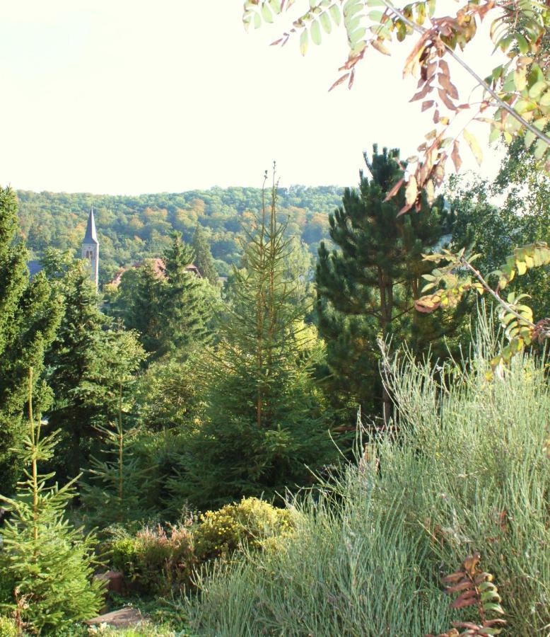 Ferienhaus Harzblick Güntersberge Exterior foto